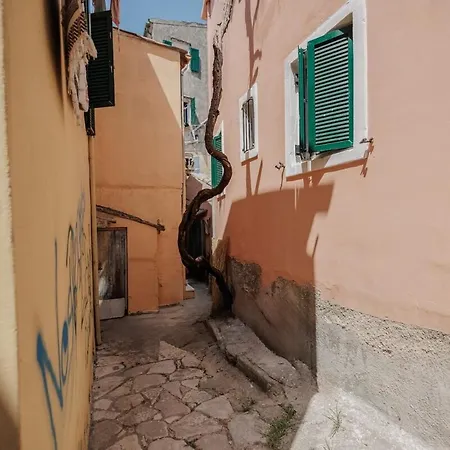 Lägenhet Porto Corfu Apt!